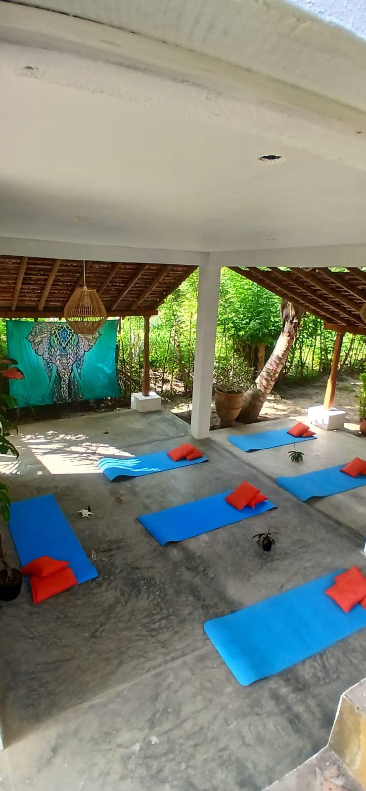 yoga